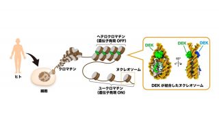 見てわかる構造生命科学: 生命科学研究へのタンパク質構造の利用