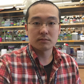 ICHIKAWA Yuichi