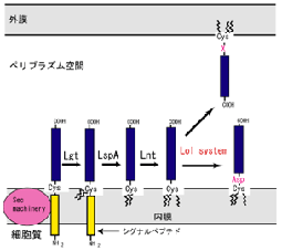 fig.2